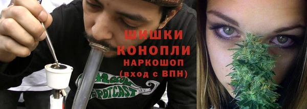 индика Арсеньев