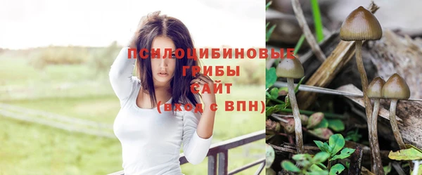 индика Арсеньев