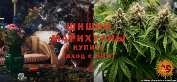 амф Алексин