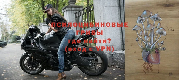 индика Арсеньев