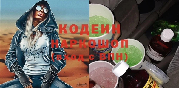 индика Арсеньев