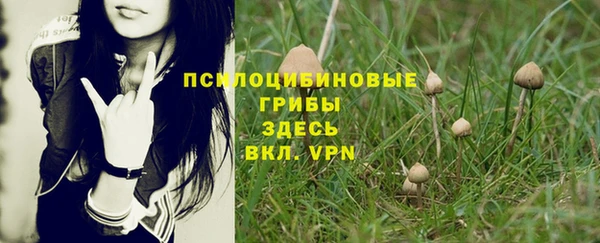 индика Арсеньев