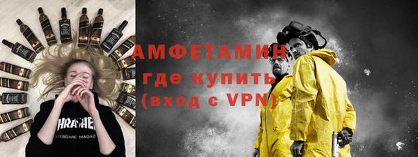 индика Арсеньев